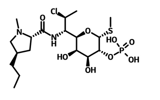 Clindamycin phosphate 